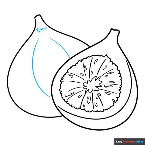 How To Draw A Fig Tree