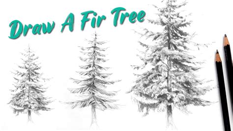 How To Draw A Fir Tree