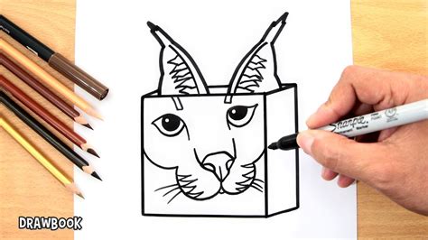 How To Draw A Floppa