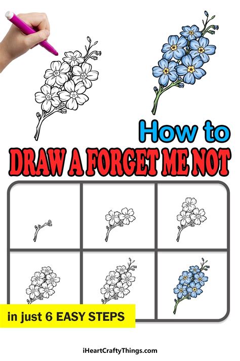 How To Draw A Forget Me Not