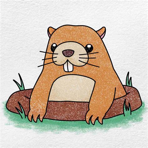How To Draw A Gopher