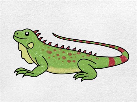 How To Draw A Iguana