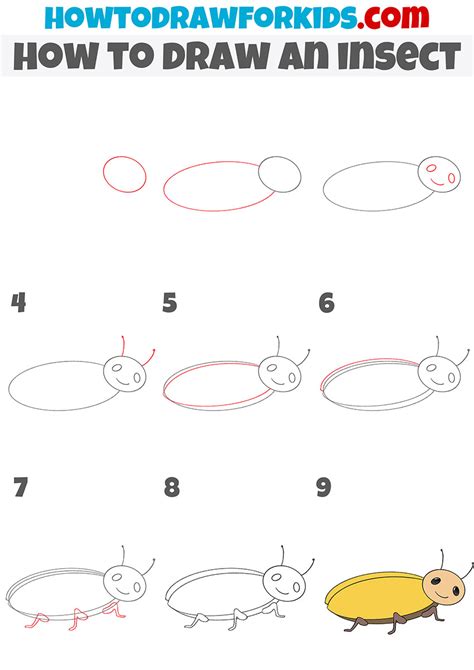 How To Draw A Insect Step By Step