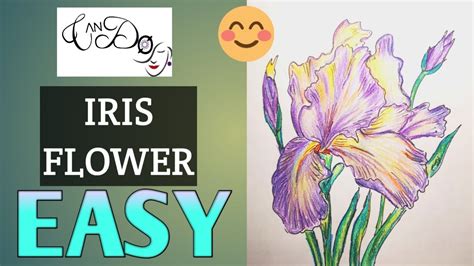 How To Draw A Iris