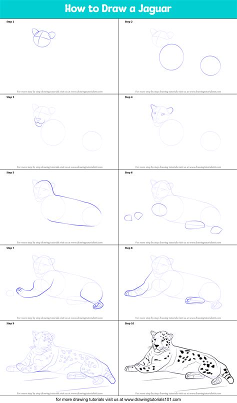 How To Draw A Jaguar Step By Step