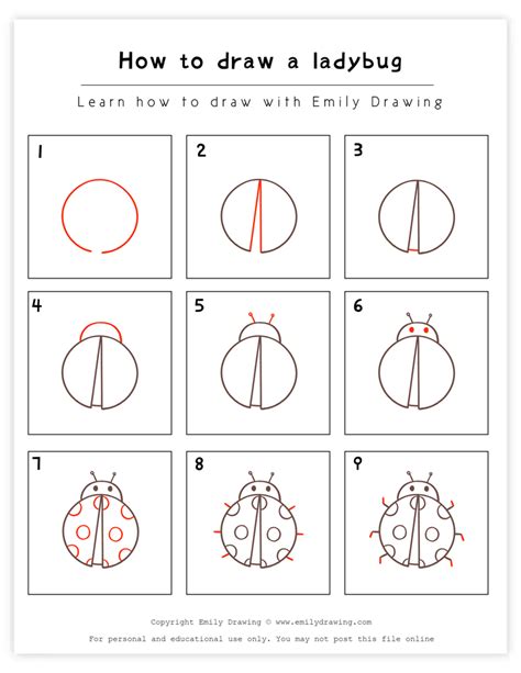 How To Draw A Lady Bug