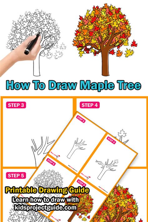 How To Draw A Maple Tree