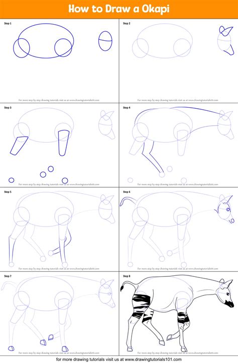 How To Draw A Okapi