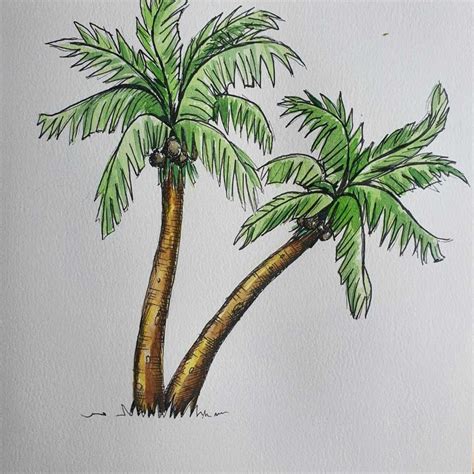 How To Draw A Palm Tree Realistic