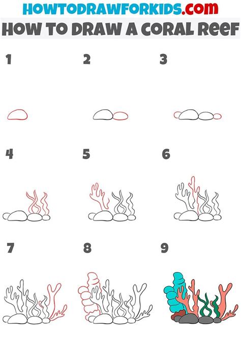 How To Draw A Reef
