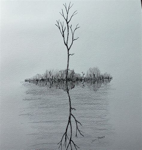 How To Draw A Reflection