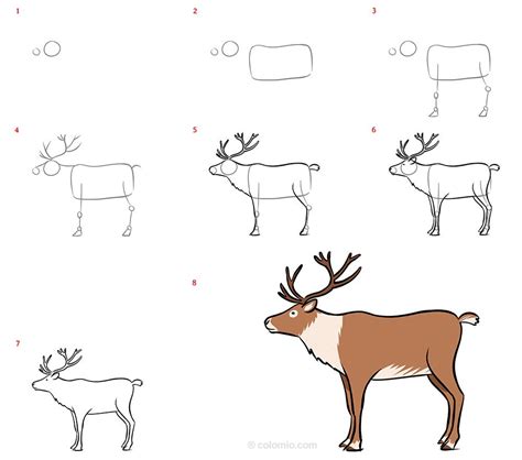 How To Draw A Reindeer Step By Step Realistic
