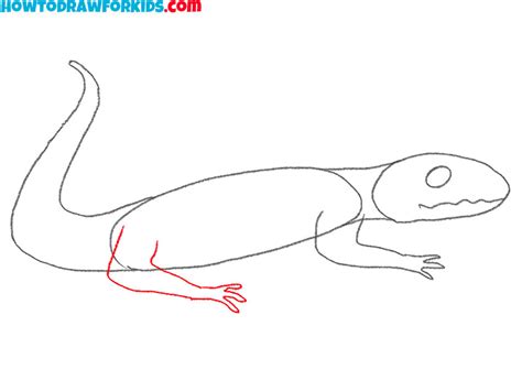 How To Draw A Reptile