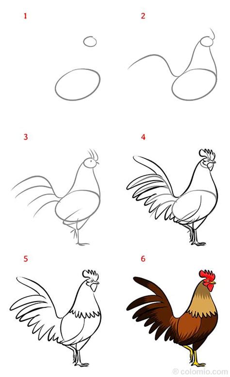How To Draw A Rooster Step By Step