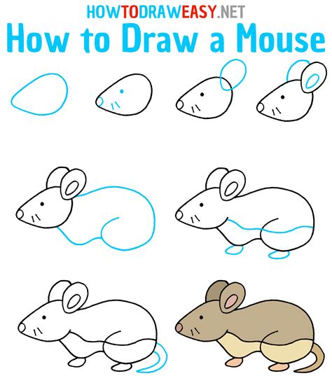 How To Draw A Simple Mouse
