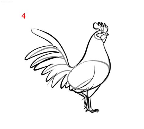 How To Draw A Simple Rooster