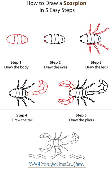 How To Draw A Simple Scorpion