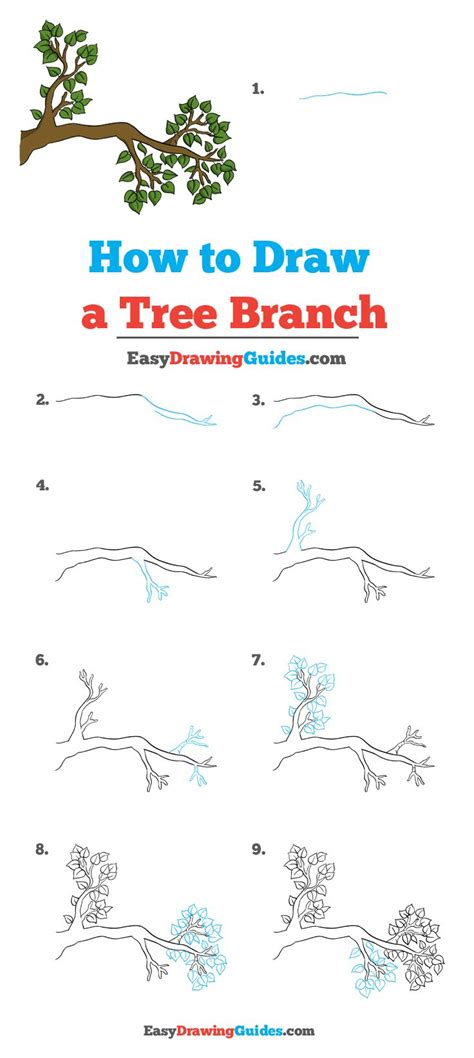How To Draw A Tree Branch Step By Step