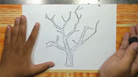 How To Draw A Tree Branches