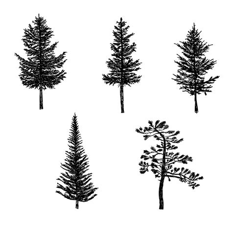 How To Draw A Tree Silhouette