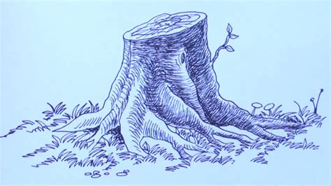 How To Draw A Tree Stump