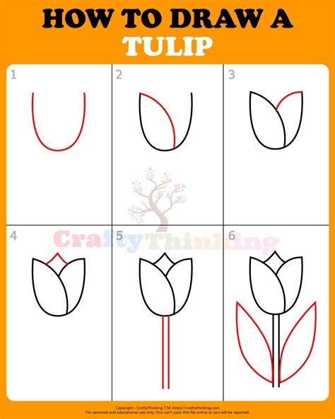 How To Draw A Tulip Step By Step Easy