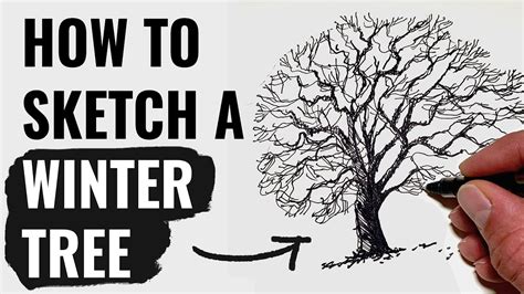 How To Draw A Winter Tree