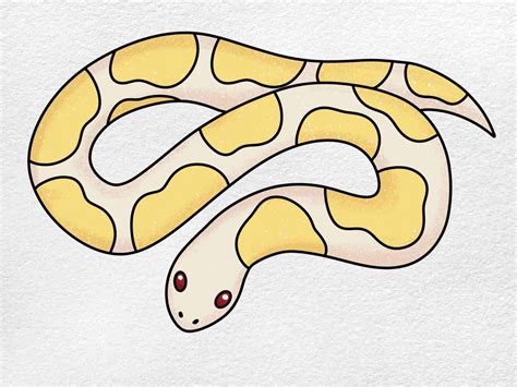 How To Draw Ball Python