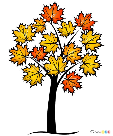 How To Draw Maple Trees