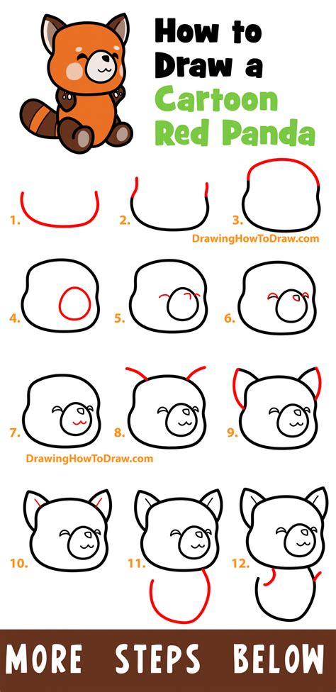 How To Draw Red Pandas Step By Step