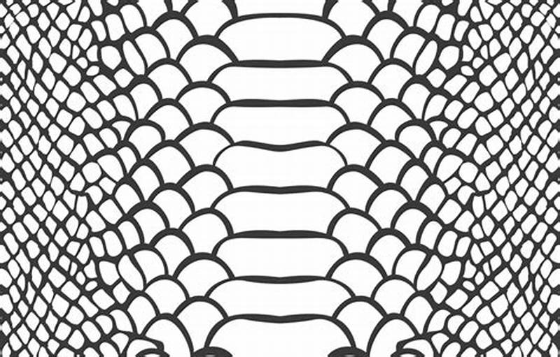 How To Draw Snake Skin Pattern