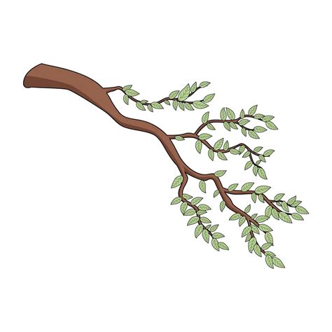 How To Draw Tree Branch