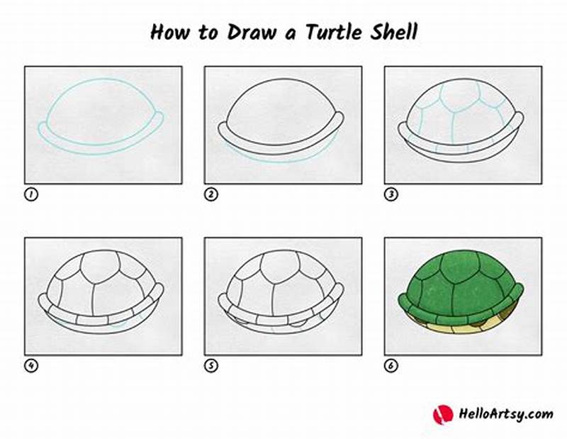 How To Draw Turtle Shell Pattern