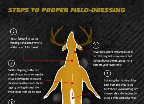 How To Dress A Deer
