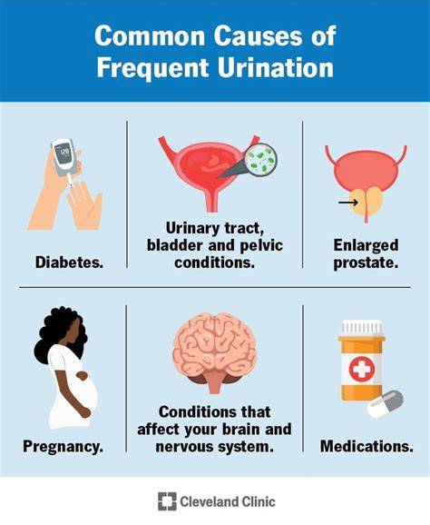 How To Drink More Water Without Constant Urination