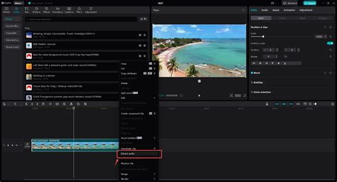 How To Extract Audio On Capcut
