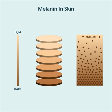 The Ultimate Guide to Unveiling the Secret of Melanin Extraction from Black Skin