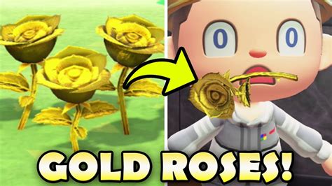 How To Farm Gold Roses Animal Crossing