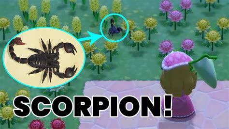 How To Farm Scorpions In Animal Crossing New Horizons
