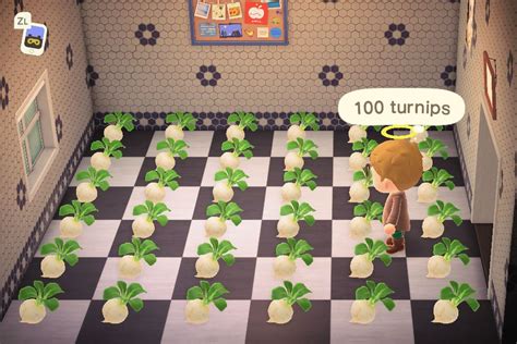 How To Farm Turnips Animal Crossing New Horizons