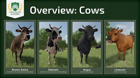 How To Feed Animals Farm Simulator 17