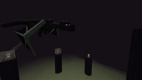 How To Fight Ender Dragon Again