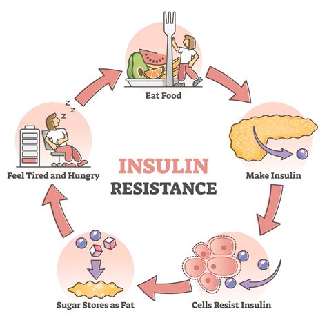 How To Fight Insulin Resistance