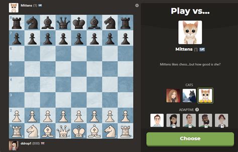 How To Fight Mittens In Chess