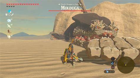 How To Fight Molduga Botw