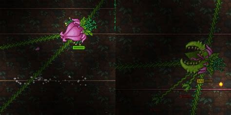 How To Fight Plantera Terraria