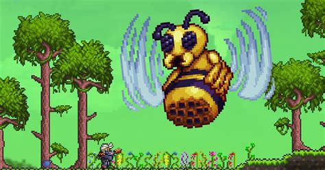 How To Fight Queen Bee Terraria