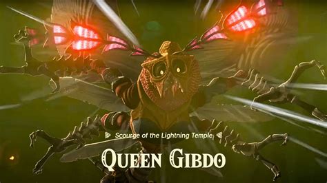 How To Fight Queen Gibdo