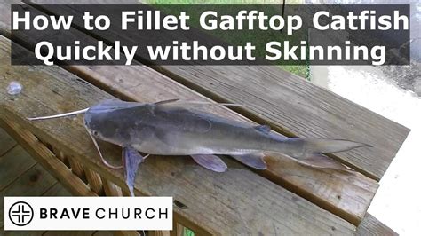 Master The Art Of Filleting Catfish Without Skin Removal: A Step-By-Step Guide