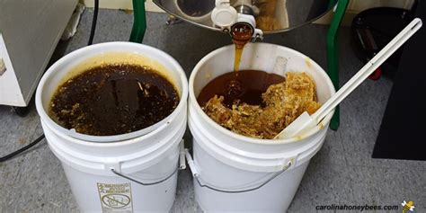 Raindrop Tea: how to filter honey from a top-bar hive